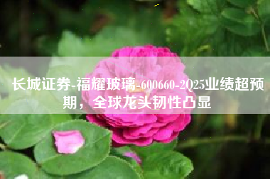 长城证券-福耀玻璃-600660-2Q25业绩超预期，全球龙头韧性凸显