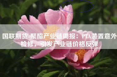 国联期货-聚酯产业链周报：PTA装置意外检修，引发产业链价格反弹