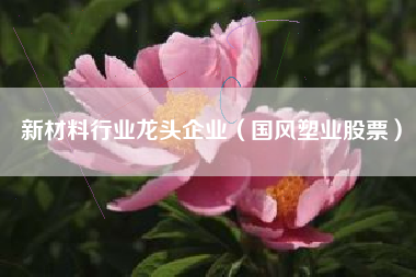 新材料行业龙头企业（国风塑业股票）