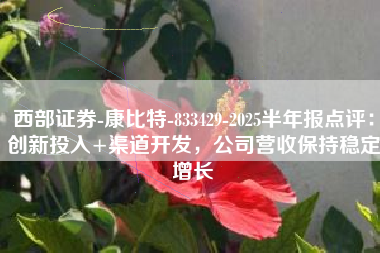 西部证券-康比特-833429-2025半年报点评：创新投入+渠道开发，公司营收保持稳定增长