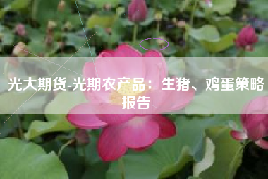 光大期货-光期农产品：生猪、鸡蛋策略报告