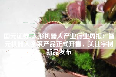 国元证券-人形机器人产业行业周报：智元机器人全系产品正式开售，关注宇树新品发布