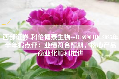 西部证券-科伦博泰生物~B-6990.HK-2025年半年报点评：业绩符合预期，核心产品商业化顺利推进