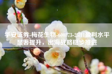 华安证券-梅花生物-600873-25H1盈利水平显著提升，出海战略稳步推进