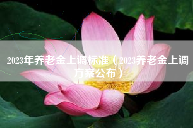 2023年养老金上调标准（2023养老金上调方案公布）