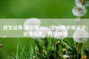 民生证券-潮宏基-002345-2025年中报点评：业绩高增，持续破圈