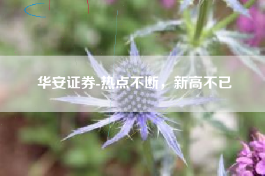 华安证券-热点不断，新高不已