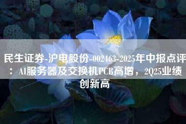 民生证券-沪电股份-002463-2025年中报点评：AI服务器及交换机PCB高增，2Q25业绩创新高