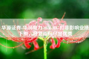 华源证券-华润电力-0836.HK-扣非影响业绩下滑，经营指标尽显优秀