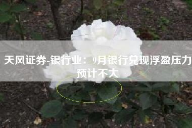 天风证券-银行业：9月银行兑现浮盈压力预计不大