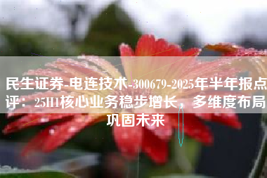民生证券-电连技术-300679-2025年半年报点评：25H1核心业务稳步增长，多维度布局巩固未来