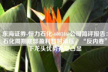 东海证券-恒力石化-600346-公司简评报告：石化周期底部盈利暂时承压，“反内卷”下龙头优势有望凸显