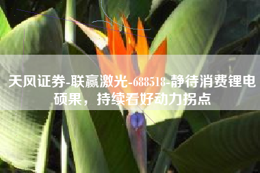 天风证券-联赢激光-688518-静待消费锂电硕果，持续看好动力拐点