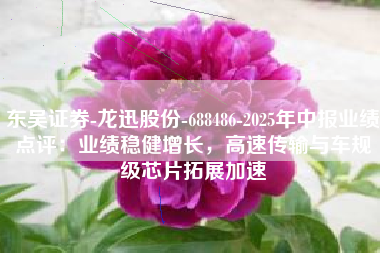 东吴证券-龙迅股份-688486-2025年中报业绩点评：业绩稳健增长，高速传输与车规级芯片拓展加速