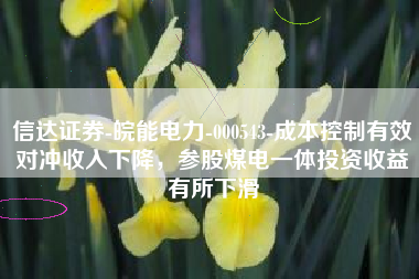 信达证券-皖能电力-000543-成本控制有效对冲收入下降，参股煤电一体投资收益有所下滑