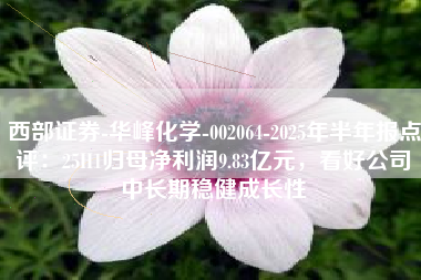 西部证券-华峰化学-002064-2025年半年报点评：25H1归母净利润9.83亿元，看好公司中长期稳健成长性