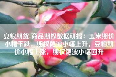 安粮期货-商品期权数据研报：玉米期价小幅下跌，期权隐波小幅上升，豆粕期价小幅上涨，期权隐波小幅回升