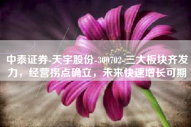 中泰证券-天宇股份-300702-三大板块齐发力，经营拐点确立，未来快速增长可期