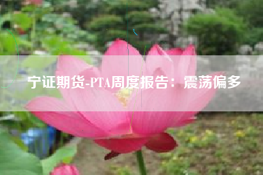 宁证期货-PTA周度报告：震荡偏多