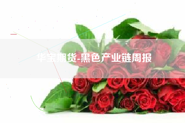华宝期货-黑色产业链周报