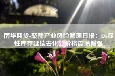 南华期货-聚酯产业风险管理日报：EG显性库存延续去化，价格震荡偏强
