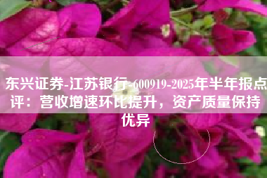 东兴证券-江苏银行-600919-2025年半年报点评：营收增速环比提升，资产质量保持优异
