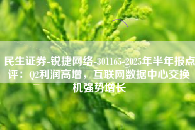 民生证券-锐捷网络-301165-2025年半年报点评：Q2利润高增，互联网数据中心交换机强势增长