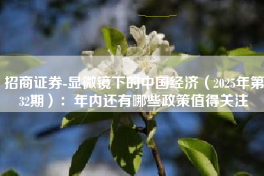招商证券-显微镜下的中国经济（2025年第32期）：年内还有哪些政策值得关注