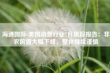 海通国际-美国消费行业7月跟踪报告：非农前值大幅下修，整体继续谨慎