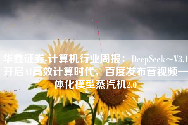 华鑫证券-计算机行业周报：DeepSeek~V3.1开启AI高效计算时代，百度发布音视频一体化模型蒸汽机2.0
