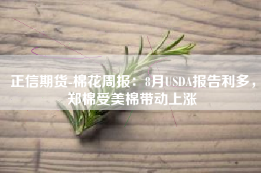 正信期货-棉花周报：8月USDA报告利多，郑棉受美棉带动上涨