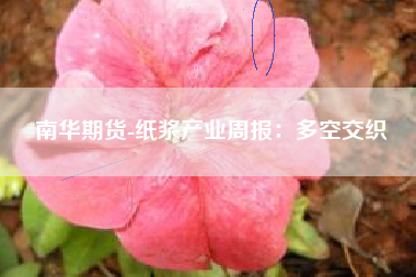 南华期货-纸浆产业周报：多空交织