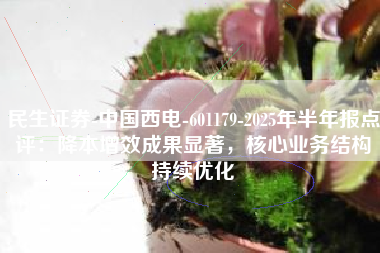 民生证券-中国西电-601179-2025年半年报点评：降本增效成果显著，核心业务结构持续优化