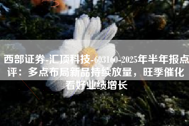 西部证券-汇顶科技-603160-2025年半年报点评：多点布局新品持续放量，旺季催化看好业绩增长