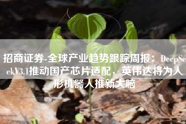 招商证券-全球产业趋势跟踪周报：DeepSeekV3.1推动国产芯片适配，英伟达将为人形机器人推新大脑