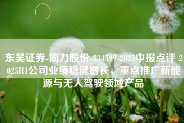 东吴证券-同力股份-834599-2025中报点评 2025H1公司业绩稳健增长，重点推广新能源与无人驾驶领域产品
