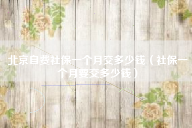 北京自费社保一个月交多少钱（社保一个月要交多少钱）