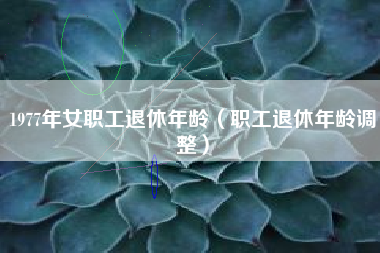 1977年女职工退休年龄（职工退休年龄调整）