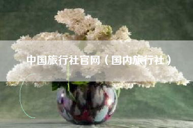 中国旅行社官网（国内旅行社）