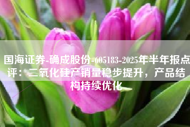 国海证券-确成股份-605183-2025年半年报点评：二氧化硅产销量稳步提升，产品结构持续优化