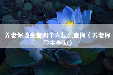养老保险金查询个人怎么查询（养老保险金查询）
