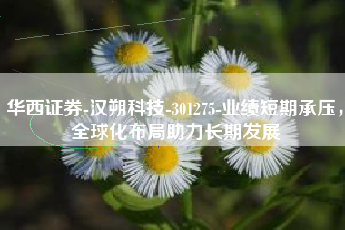 华西证券-汉朔科技-301275-业绩短期承压，全球化布局助力长期发展
