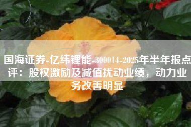 国海证券-亿纬锂能-300014-2025年半年报点评：股权激励及减值扰动业绩，动力业务改善明显