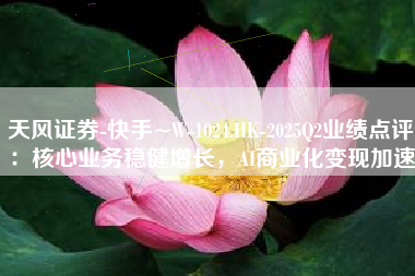 天风证券-快手~W-1024.HK-2025Q2业绩点评：核心业务稳健增长，AI商业化变现加速