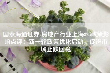 国泰海通证券-房地产行业上海825政策影响点评：新一轮政策优化启动，促进市场止跌回稳