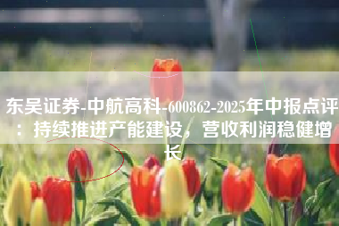 东吴证券-中航高科-600862-2025年中报点评：持续推进产能建设，营收利润稳健增长