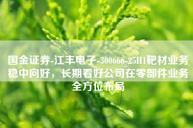 国金证券-江丰电子-300666-25H1靶材业务稳中向好，长期看好公司在零部件业务全方位布局