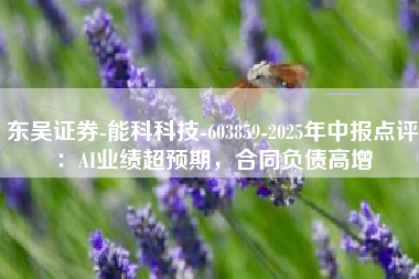 东吴证券-能科科技-603859-2025年中报点评：AI业绩超预期，合同负债高增