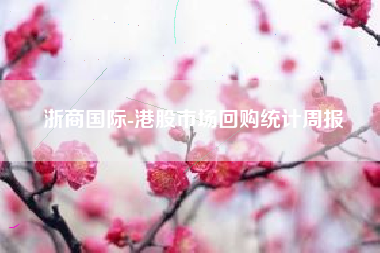 浙商国际-港股市场回购统计周报