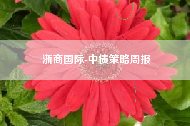 浙商国际-中债策略周报